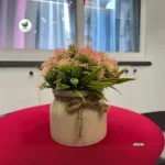 NIH PLASTIC OFFICE AND HOME DECOR SMALL PLANTER.